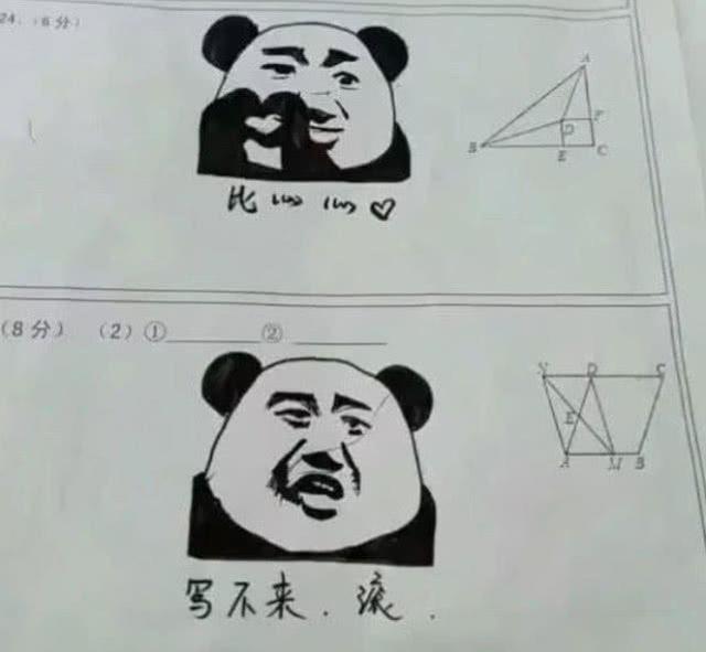 学霸：这是我的试卷！学渣：这是我的试卷！老师：你们都是人才