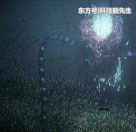 “外星生物”长什么样子？霍金给出8大猜想！快来看看吧