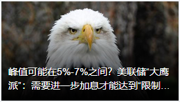 峰值可能在5%-7%之间？美联储“大鹰派”：需要进一步加息才能达到“限制性水平”